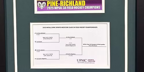 2025 WPIAL\/UPMC Sports Medicine Football Championships at Acrisure Stadium