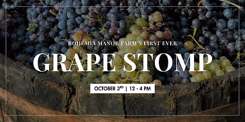 Grape Stomp