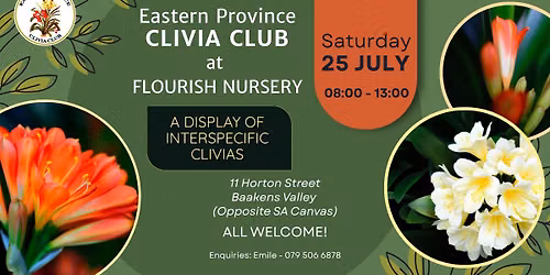 EPCC Clivia Club - Clivia Display