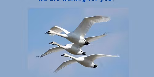 New in Utica \u2014 Ukrainian Martial Art "Khara-Shlyah"