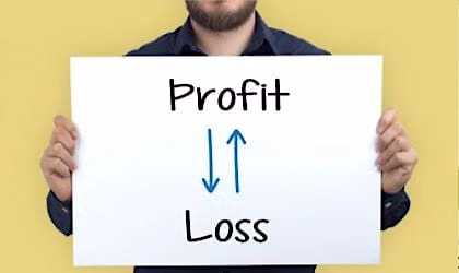 Deep Dive Profit & Loss for Business Owners