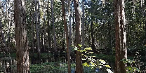 Hike: Shingle Creek North \/ Hunters Creek