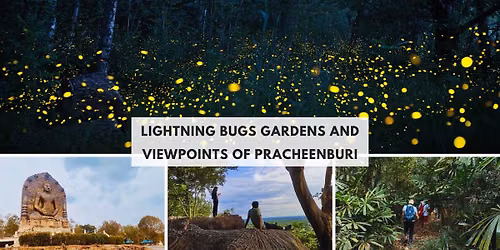 Firefly Garden and one Hike of Pracheenburi