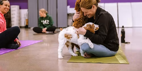 Canines for Change Puppy Yoga