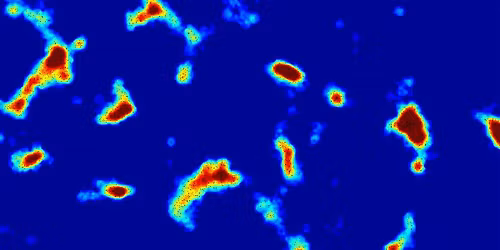 Biophysical immunoengineering: from insight to clinical application
