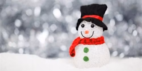 Christmas Family Fun at The Wolseley Centre