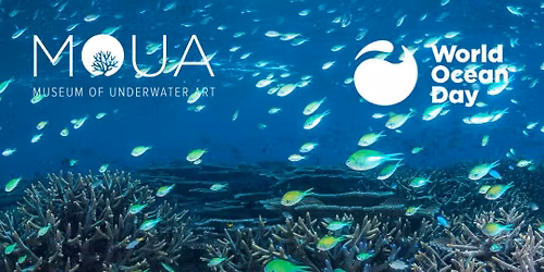 ReefBlitz - Join Reef Ecologic at Magnetic Island — Geoffrey Bay