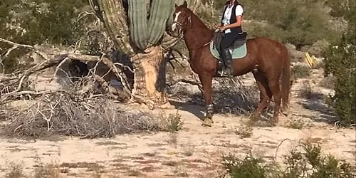 San Felipe 25 Endurance Challenge