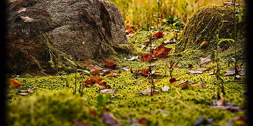 Photoshop for Photographers 101