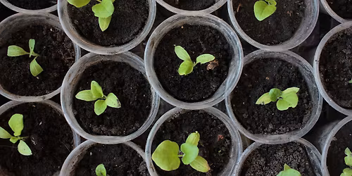 Plant Sale and Adoption Event