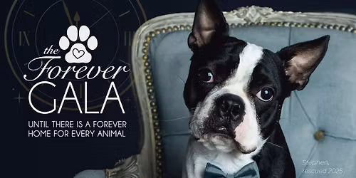 The Forever Gala 2026 - sold out