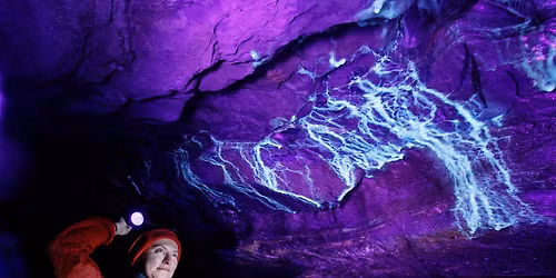 Blacklight Adventures