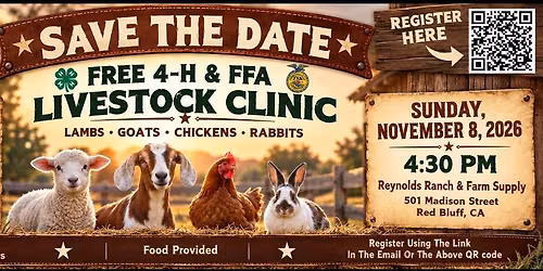 Get Show-Ring Ready: Lambs, Goats, Chickens & Rabbits