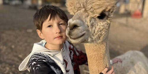 Alpaca Farm Tour