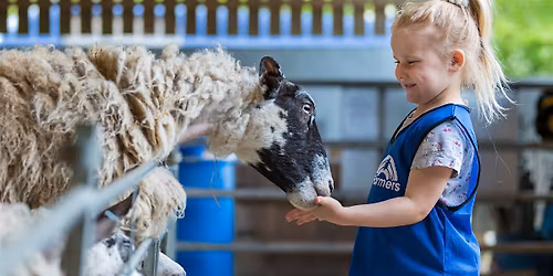 Thrift Farm Day Nursery & Pre-School Open Day - 1st November