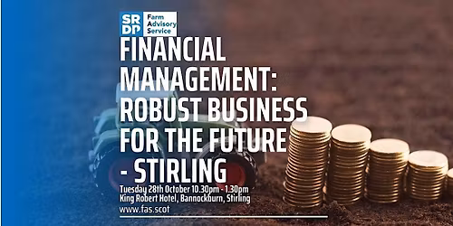 Financial Management: Robust Business for the Future - Stirling