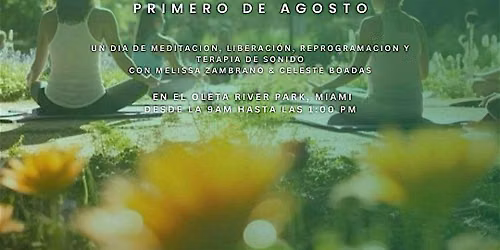 Viviendo Milagros