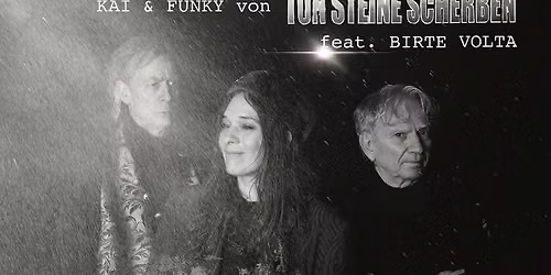 TON STEINE SCHERBEN feat. Kai, Funky & Birte Volta - \u201e75 Jahre Rio Reiser & R.P.S. Lanrue\u201c Tour -Tei
