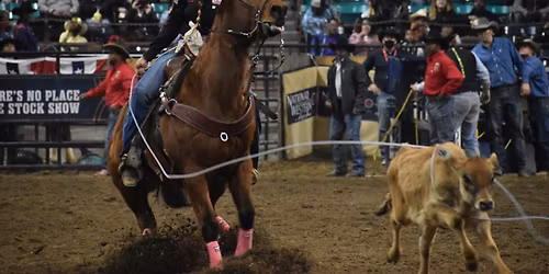 National Western Stock Show - MLK Rodeo