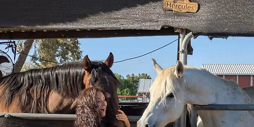 Reiki Among the Horses