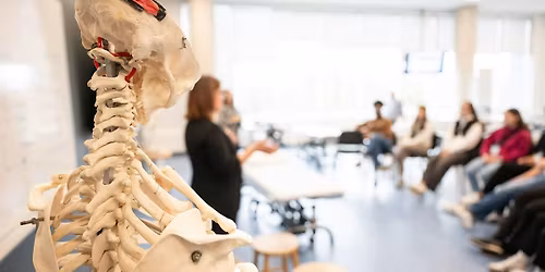 Ateliers en physioth\u00e9rapie \u00e0 l'Universit\u00e9 d'Ottawa (Lees) - 28 octobre 2025