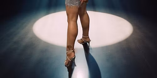 THE BEST TINA TURNER SHOW