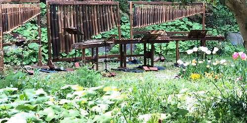 Plumeria \u30a4\u30f3\u30c9\u30cd\u30b7\u30a2\u7af9\u697d\u5668\u30b3\u30f3\u30b5\u30fc\u30c8