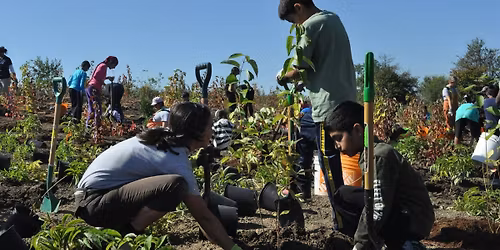 TRICK or TREE Community Tree Planting at Manitou Park