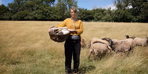 Somerset Yarning Exhibition