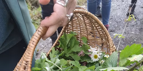 [Stage] Gastronomie sauvage et m\u00e9dicinale