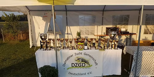 Doppel RGA der Regio S\u00fcd in V\u00f6hringen