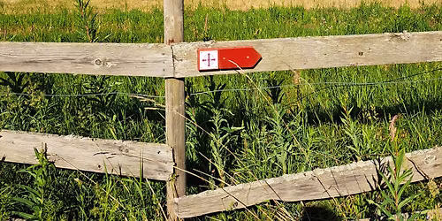 Vandring - Hamar - Lillehammer