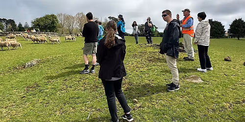 Guided Walk: Farm