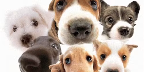 Monthly Membership Meeting - NEW LOCATION!