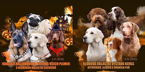 Krajsk\u00e1 Hallowen v\u00fdstava v\u0161ech plemen s klubovu oblastn\u00ed jezev\u010d\u00edk\u016f(s v\u00fdb\u011brem do chovu) 1.11.2025