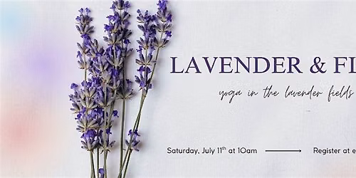 Lavender & Flow: Yoga in the lavender fields