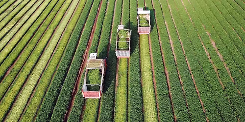 Hort Connections