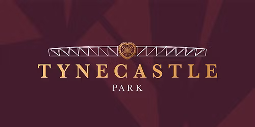 Race Night \ud83c\udfc7