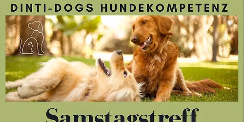 Samstagstreff mit Freilauf