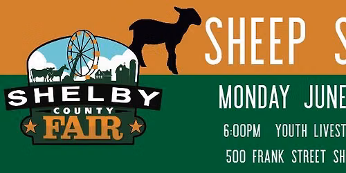 Sheep Show