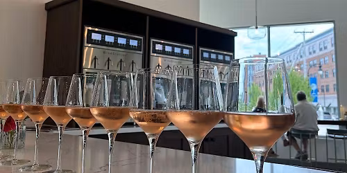 Wine tasting and food pairing