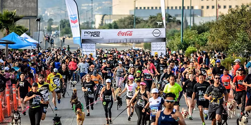 The Doggie Run 4k\/5k