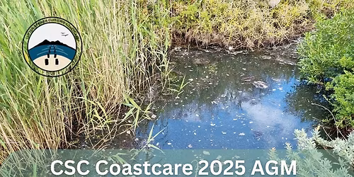 2025 Annual General Meeting