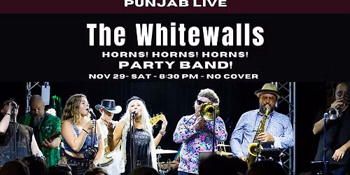 The Whitewalls @Punjab Live