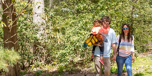 Mother\u2019s Day Celebration