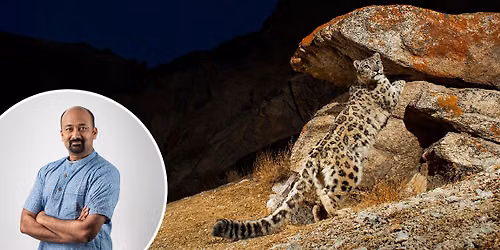 National Geographic Live - Wild Cats Revealed at The Carolina
