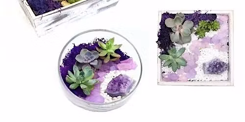 Plant Nite: Make a Succulent Terrarium