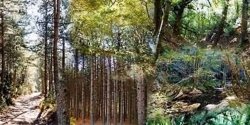 \ud83c\udf3c \u03a0\u03c1\u03c9\u03c4\u03bf\u03bc\u03b1\u03b3\u03b9\u03ac \u03c3\u03c4\u03bf\u03bd \u03c0\u03b1\u03c1\u03ac\u03b4\u03b5\u03b9\u03c3\u03bf \ud83c\udff5\ufe0f \u03c4\u03b7\u03c2 \u0392\u03bb\u03b1\u03c7\u03bf\u03ba\u03b5\u03c1\u03b1\u03c3\u03b9\u03b1\u03c2 \ud83c\udf3b