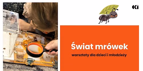 \u015awiat mr\u00f3wek \/\/ wakacyjne warsztaty dla dzieci i m\u0142odzie\u017cy (7-14 lat)