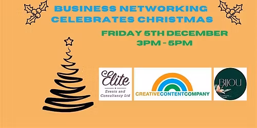 Business Networking Celebrates Christmas